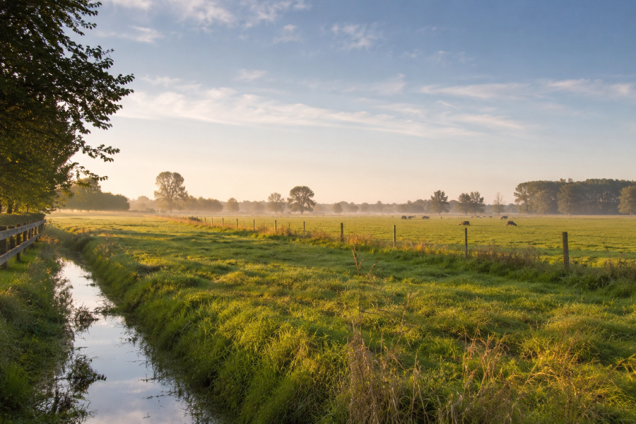Bed & Breakfast te koop in Drenthe — Hoogwaardige groepsasscommodatie Noord-Nederland