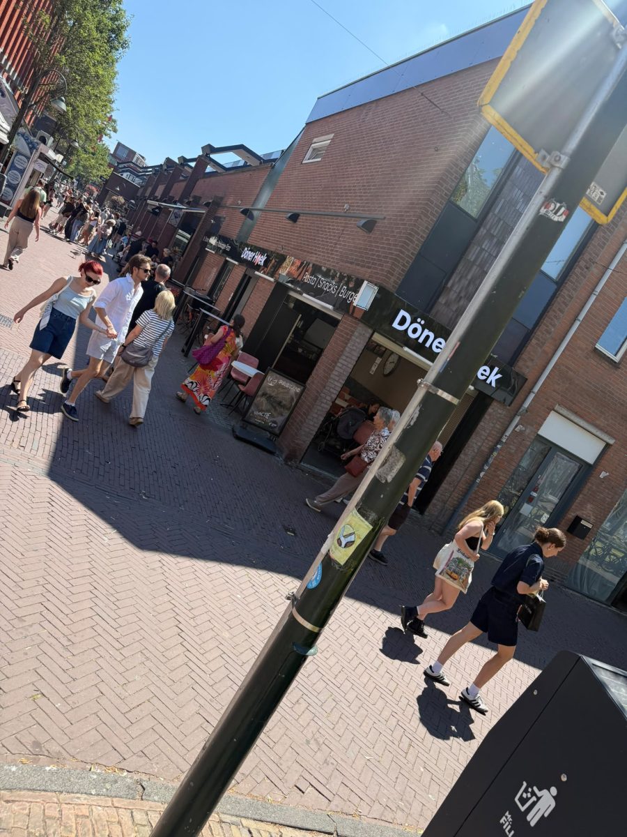 Shoarma/Grillroom ter overname in Delft, Zuid-Holland — Instapklare Döner- en Pizzeria op toplocatie Delft